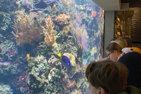2024-02-15-wallerergym-exkursion-korallenriff-ausstellung001