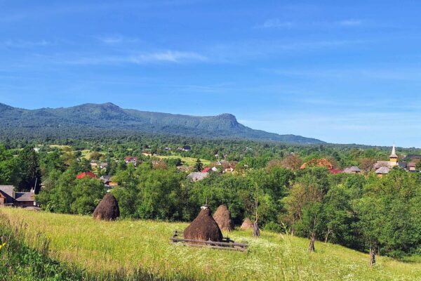 2024-06-13-wallerergym-erasmus-jobshadowing003