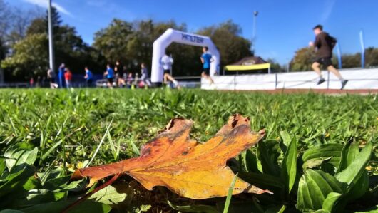 EWW Crosslauf 2024 – Schul/Bezirksmeisterschaft