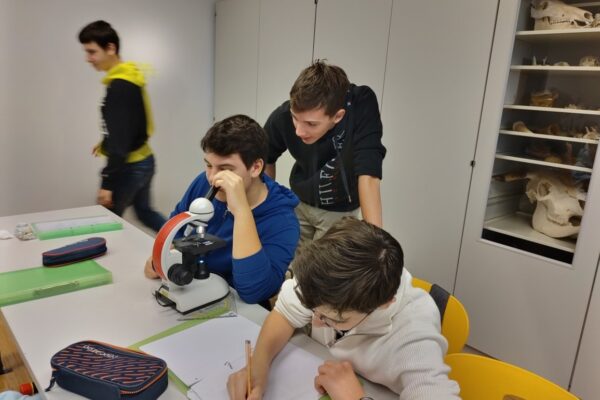 2024-10-24--NAWI-Begatenfoerderung002