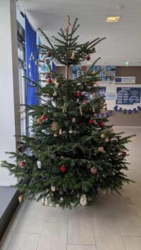 Weihnachtswünsche