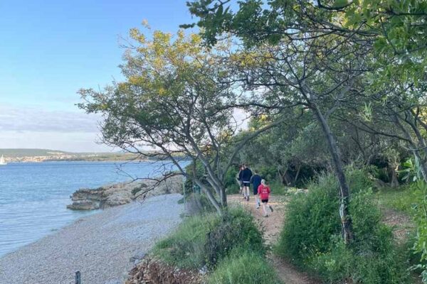 2025-05-19-wallerergym-meeresbiologische-woche10