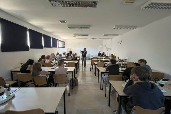 2025-05-19-wallerergym-meeresbiologische-woche11