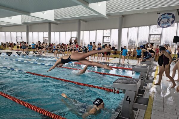 2026-02-10-sport-landesmeisterschaft-schwimmen-2026 (1)