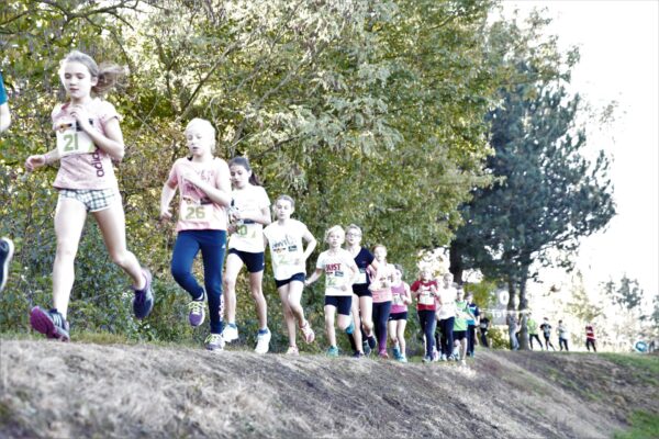 2017-10-11-sport-crosslauf-bezirksmeisterschaft-wels (6)