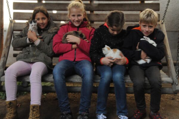 2017-10-18-ahs-kennenlerntage-st-oswald-1a (8)