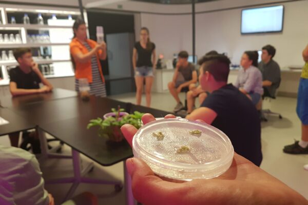 2018-06-21-real-informatik-ars-electronica-center (2)