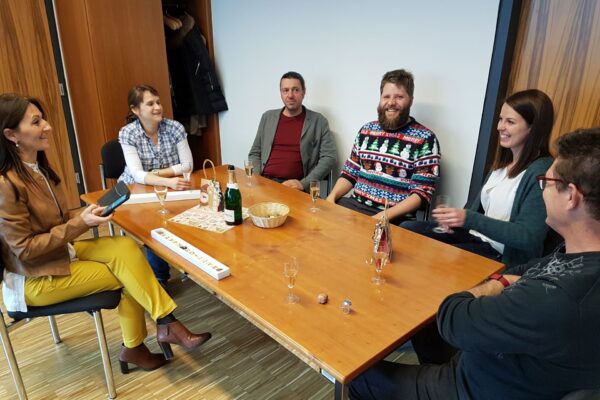 2017-12-07-ahs-website-go-live (1)