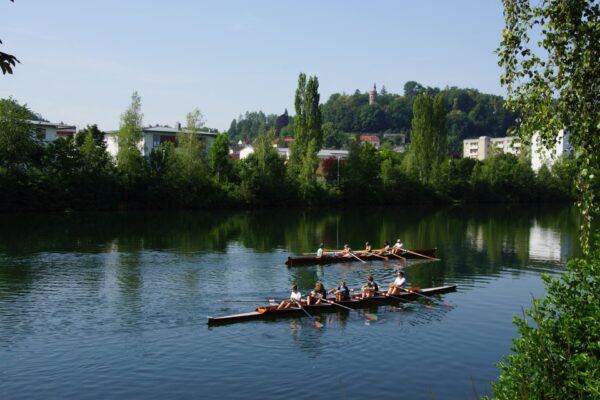2019-07-01-sport-rudern-3s (7)
