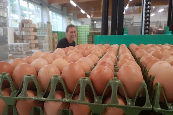 2019-09-24-sport-wandertag-eiermacher-4s (6)