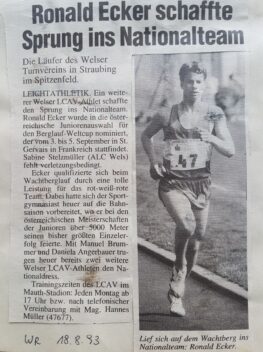 Zeitungsartikel 1993