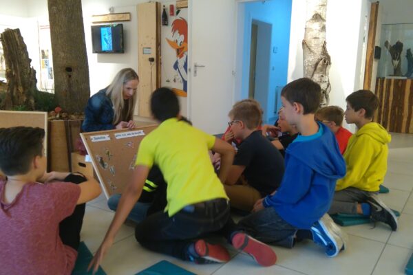 2017-10-20-faecher-biologie(01)