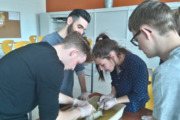 2017-10-20-faecher-biologie(02)