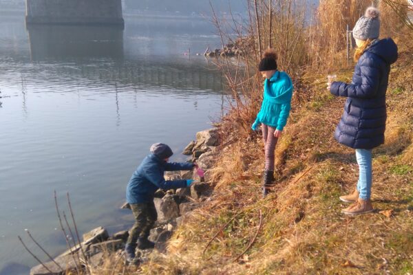 2017-10-20-faecher-biologie(03)