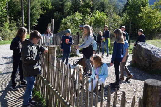Wandertag der ersten Klassen
