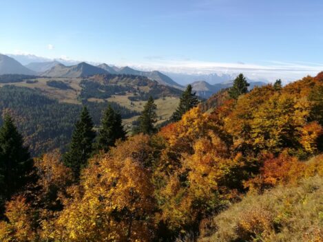 Herbstferien