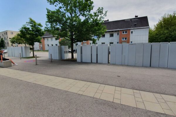 2021-07-08-ahs-5s-spinde-entsorgen (5)