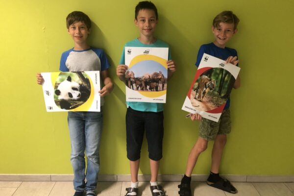 2021-09-20-wallerergym-plastik-im-meer--008