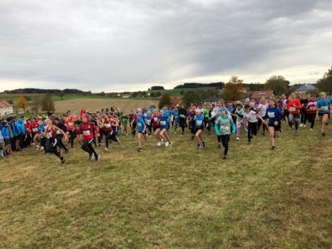 Crosslauf – Landesmeister
