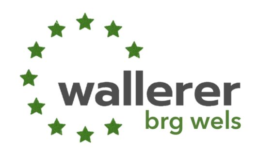 1. Preis beim Ideenwettbewerb Green New Europe