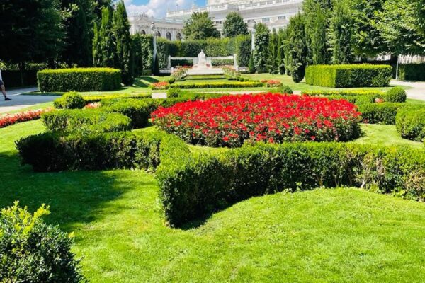 6bc58970-ddc6-4246-bd77-cf51ceb43eaf