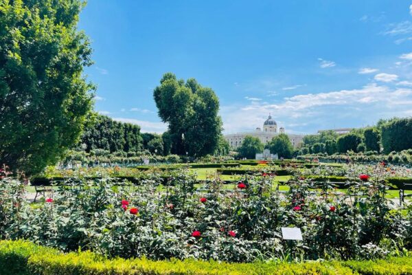 81a89f59-abca-4b4a-a388-4274bc752860