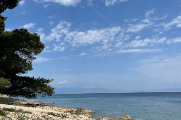 2022-07-07-krk-meeresbiologische-woche005