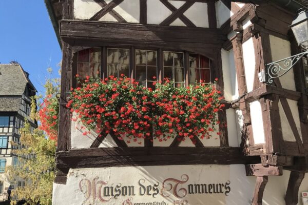 2023-10-24-wallerergym-erasmus-strassburg001